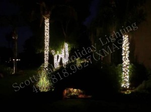 Scottsdale Holiday Lighting Services